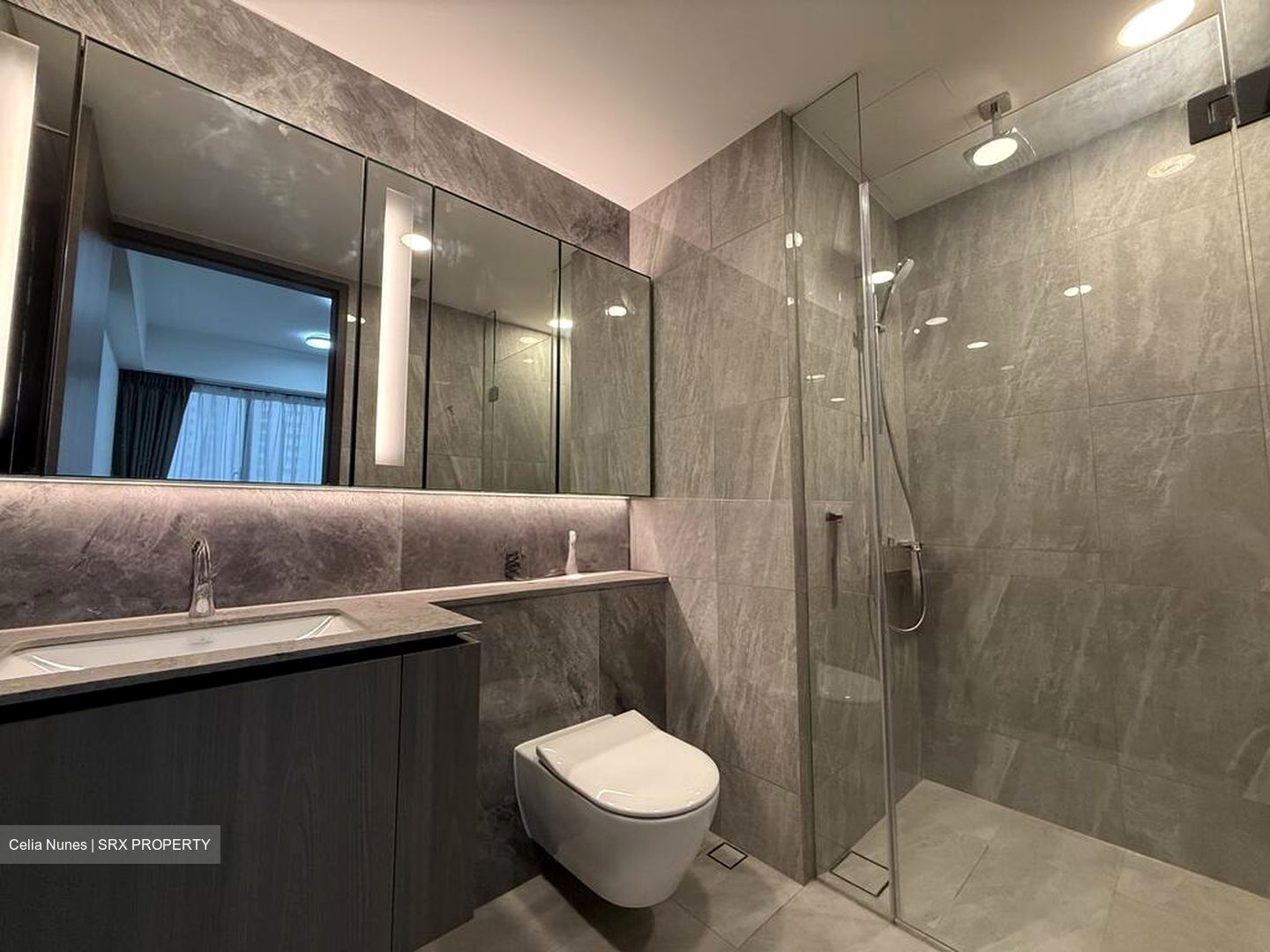 Piccadilly Grand (D8), Apartment #504201061